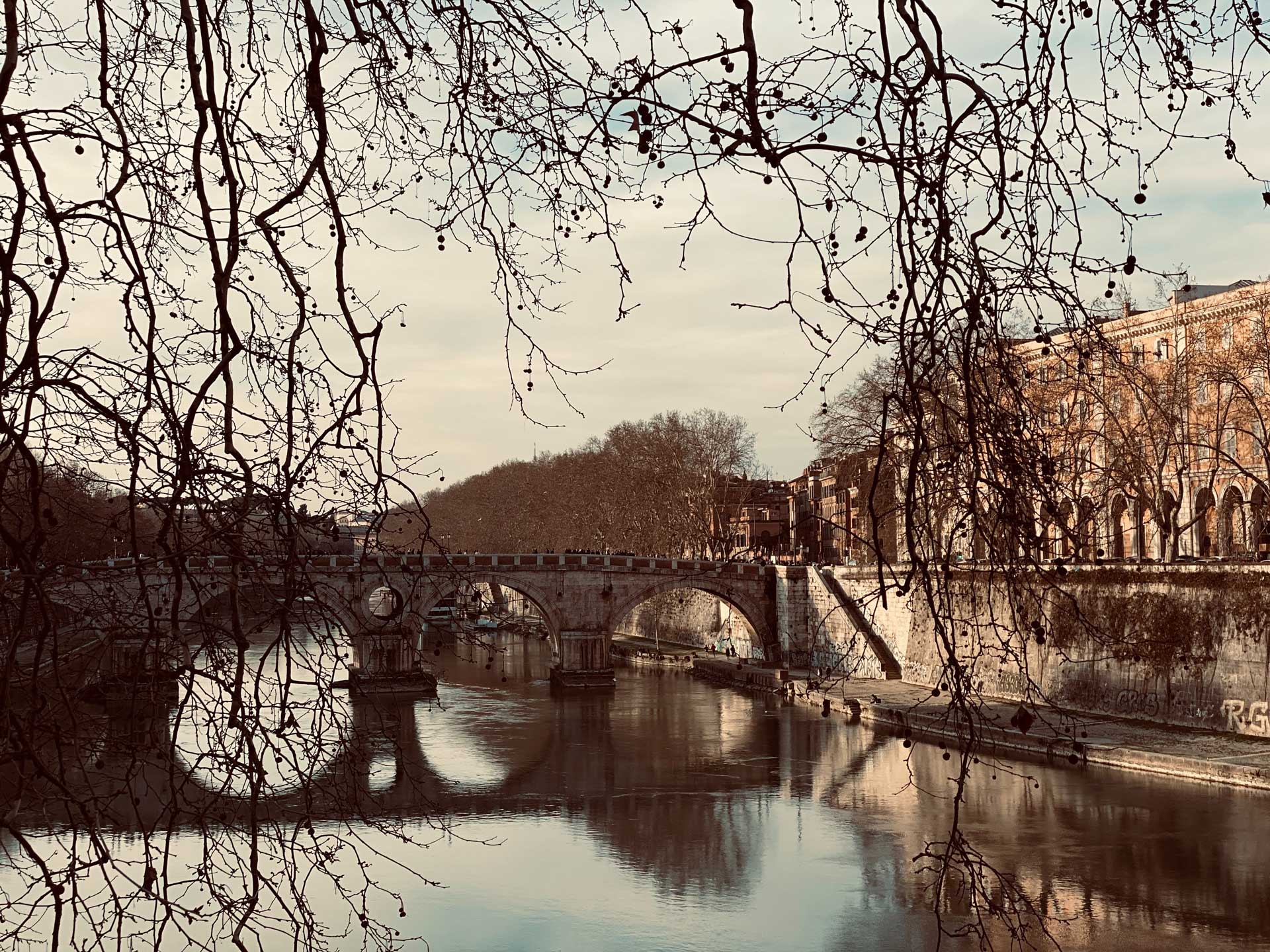 Nikis Collection Trastevere background 1